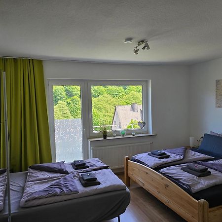 Ferienwohnung Vier Pfoten Willingen  Esterno foto