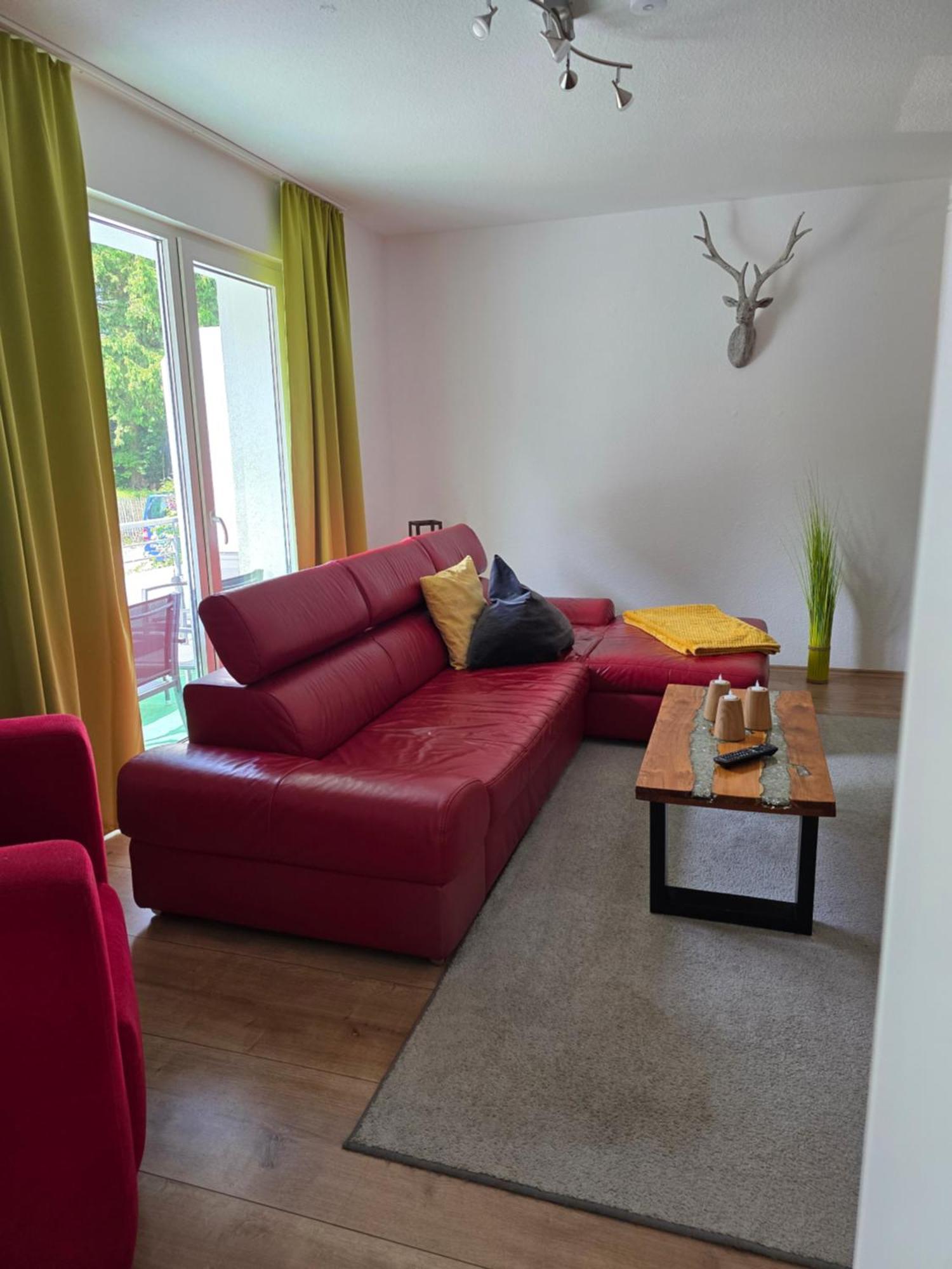 Ferienwohnung Vier Pfoten Willingen  Esterno foto