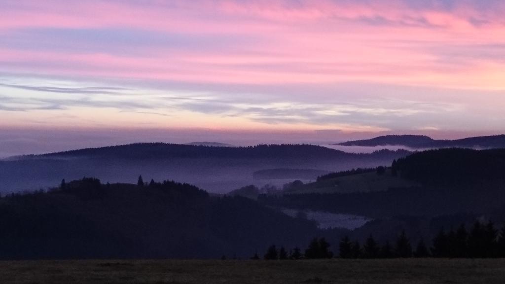 Ferienwohnung Vier Pfoten Willingen  Esterno foto